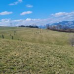 2024-03-12_suchaktion miesenbach_007